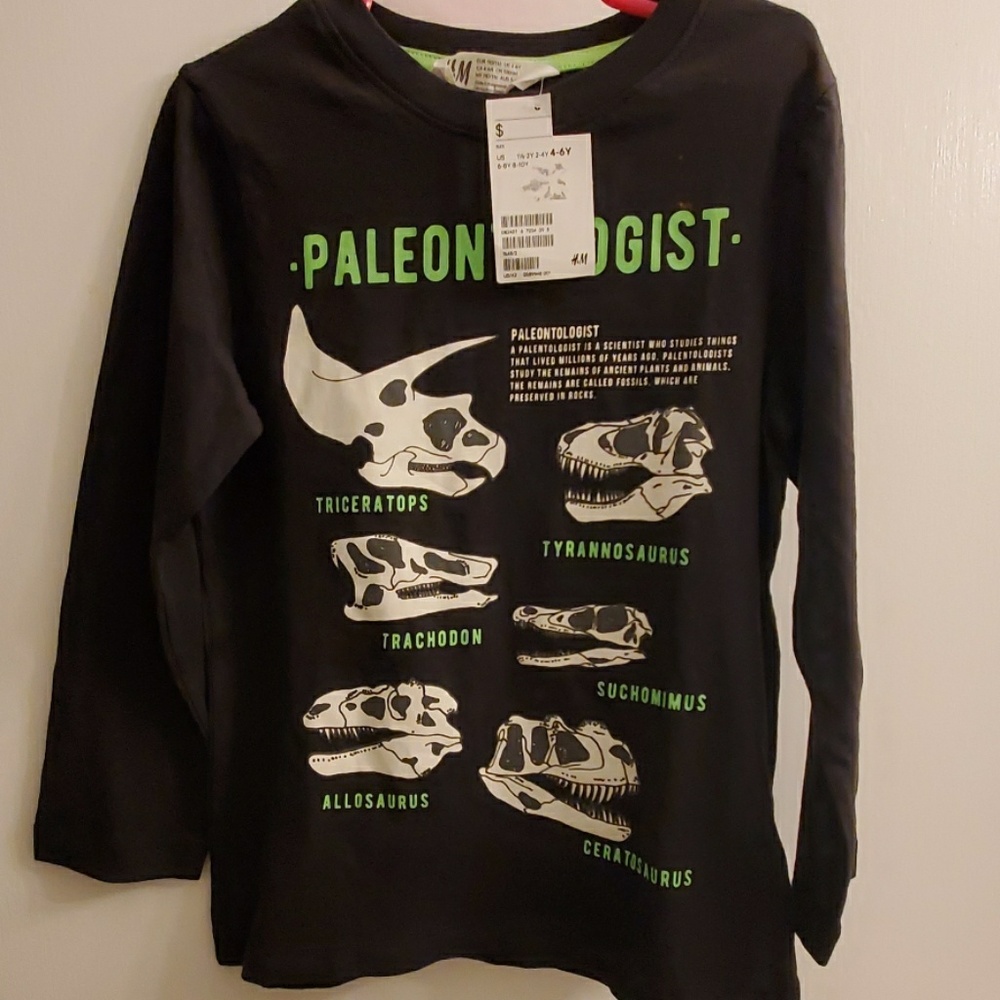 H & M Dinosaur Long Sleeve Shirt